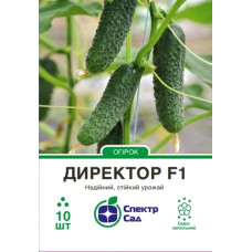 Огірок Дерія F1 10 шт