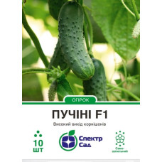 Огірок Пасалімо F1 10 шт