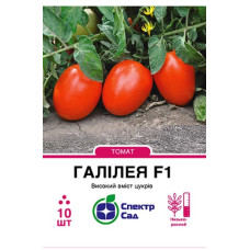 Томат Галілея F1 10 шт