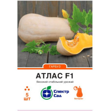 Гарбуз Атлас F1 5 шт