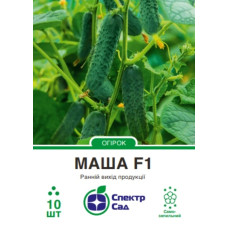Огірок Маша F1 10 шт