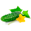 Огірки